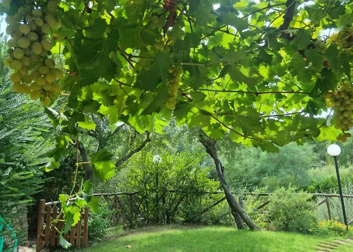 E Mare וילסימיוס